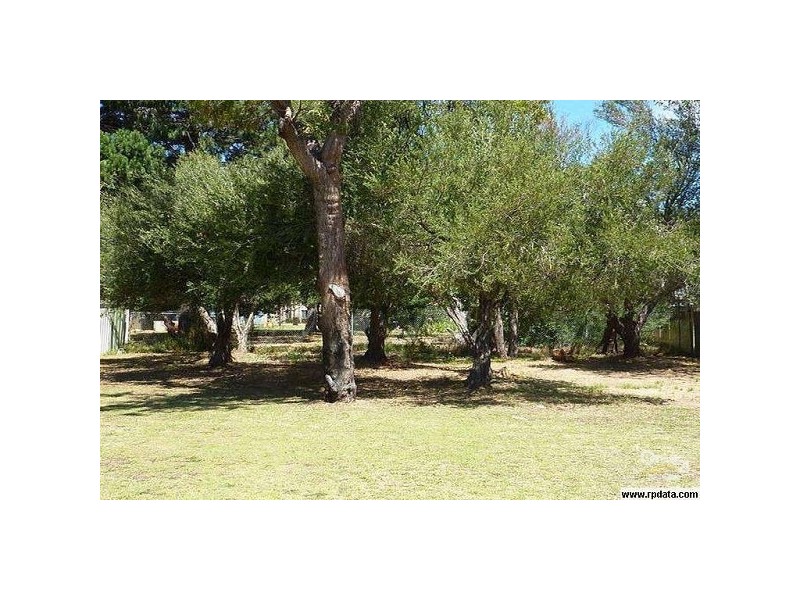 23 Littleton Street, Falcon WA 6210