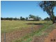 209 Clifton Road, Yarloop WA 6218