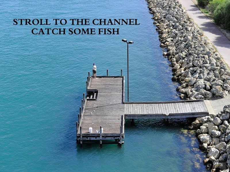 16 Gold Ridge, Wannanup WA 6210