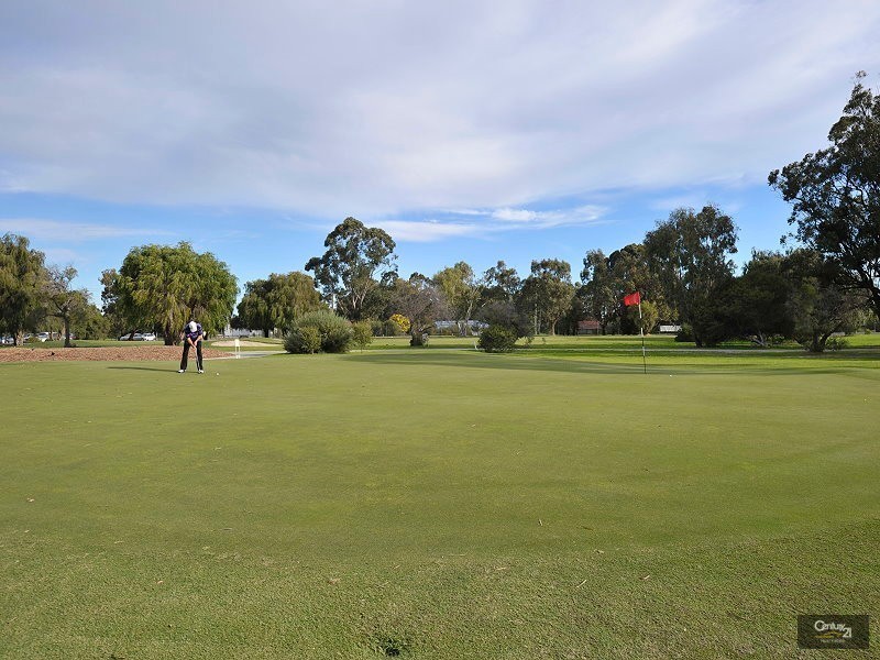 36 Wilson Road, Pinjarra WA 6208