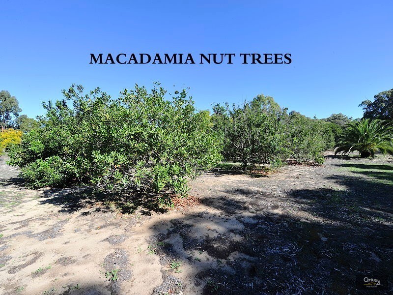 2776 Old Coast Road, Herron WA 6211