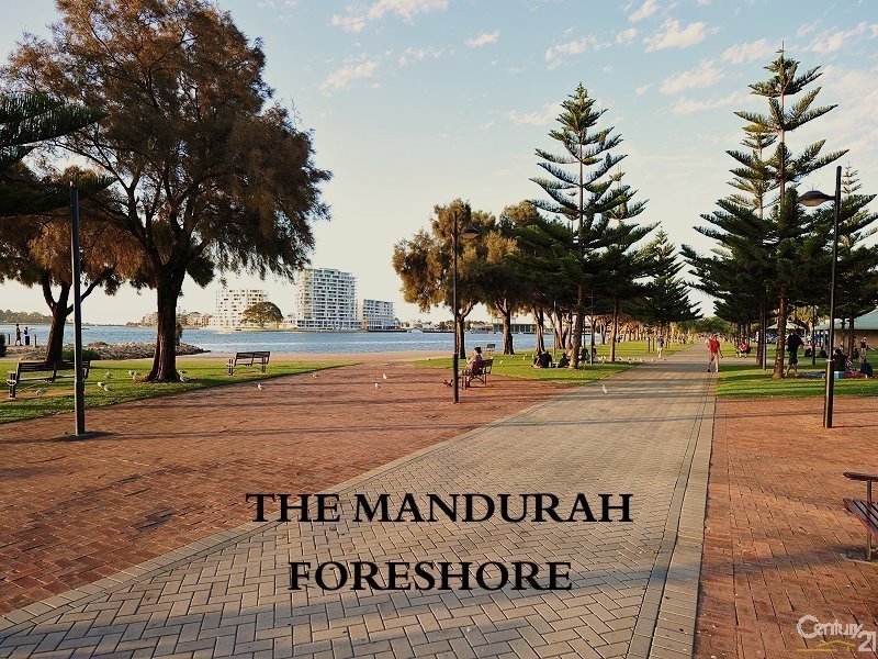 1/2 Creery Street, Dudley Park WA 6210