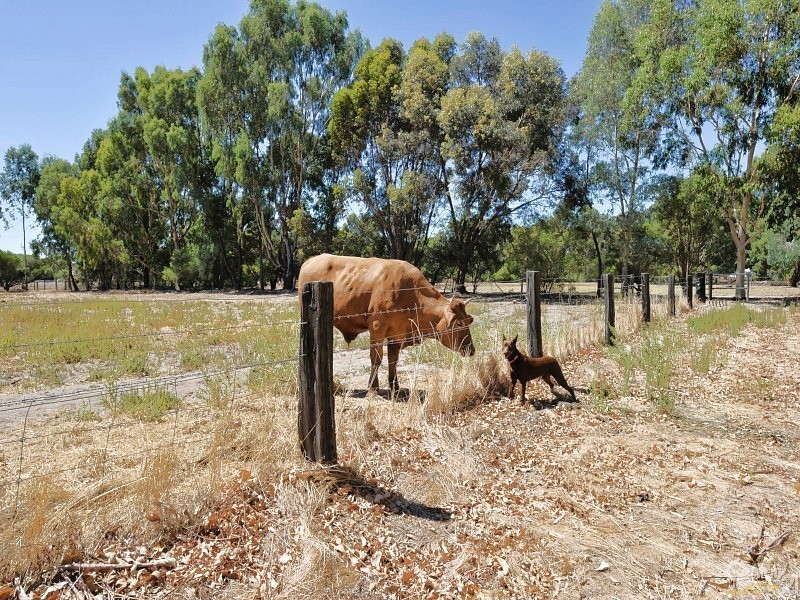 168 Deeble Road, Coolup WA 6214