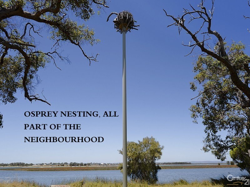 8 Vixen Close, Erskine WA 6210