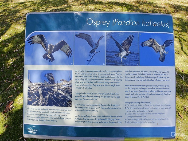 8 Vixen Close, Erskine WA 6210