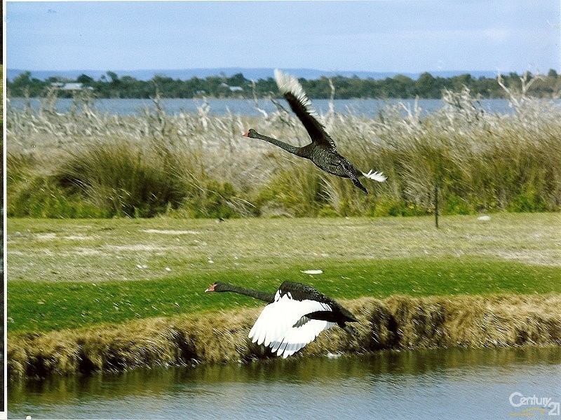 300 Lakes Road, Greenfields WA 6210