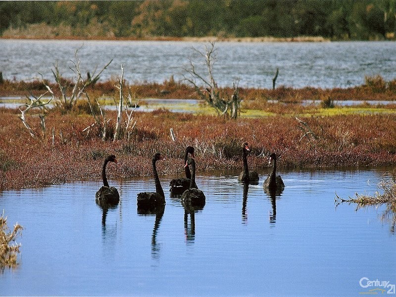 300 Lakes Road, Greenfields WA 6210