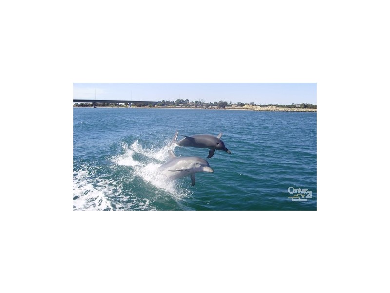 71 Erins Isle The Islands, Mandurah WA 6210