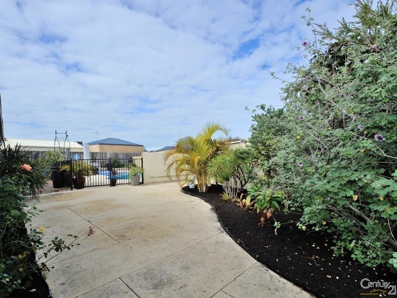 3 Lutea Road, Halls Head WA 6210