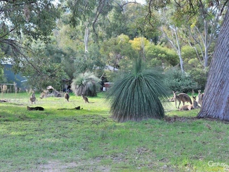 148 Pleasant Grove Circle, Falcon WA 6210