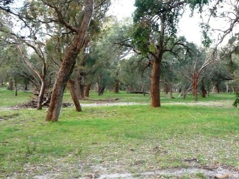 102 Holmes Road, Lake Clifton WA 6215