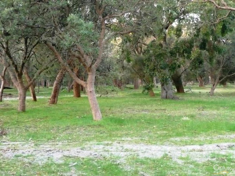 102 Holmes Road, Lake Clifton WA 6215