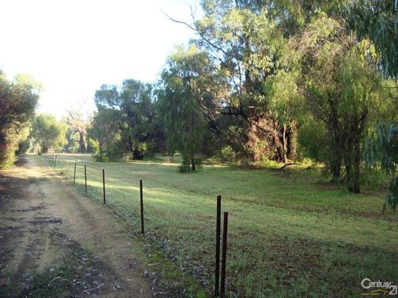 102 Holmes Road, Lake Clifton WA 6215