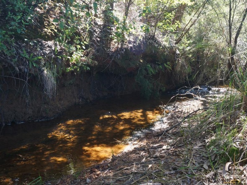 Lot 21 Prince Road, Waroona WA 6215