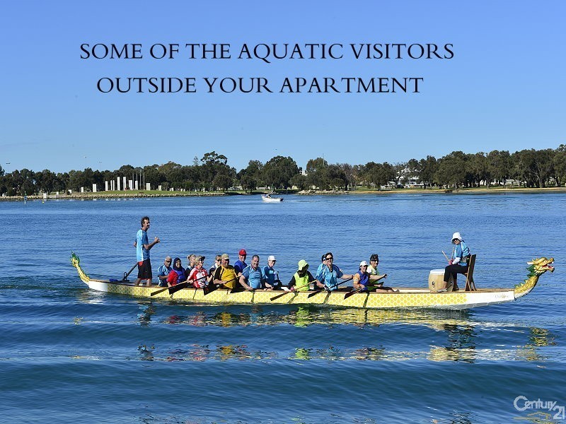 4/3 Galileo Loop, Mandurah WA 6210