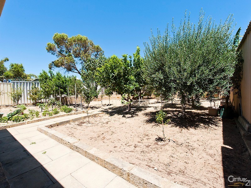 4 Darter Place, Halls Head WA 6210