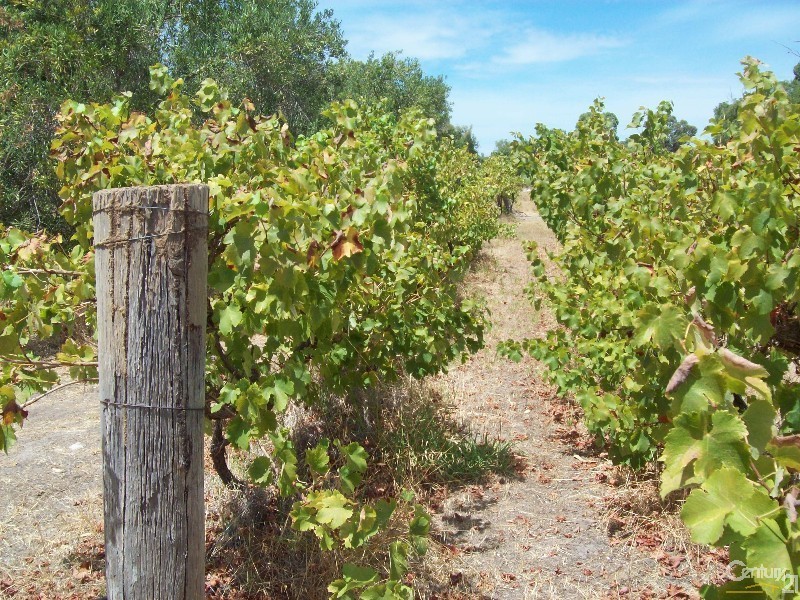 286 Newnham Road, Lake Clifton WA 6215