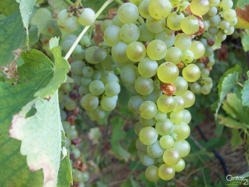 286 Newnham Road, Lake Clifton WA 6215