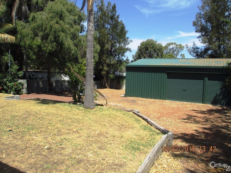 3 Lyelta Street, Falcon WA 6210