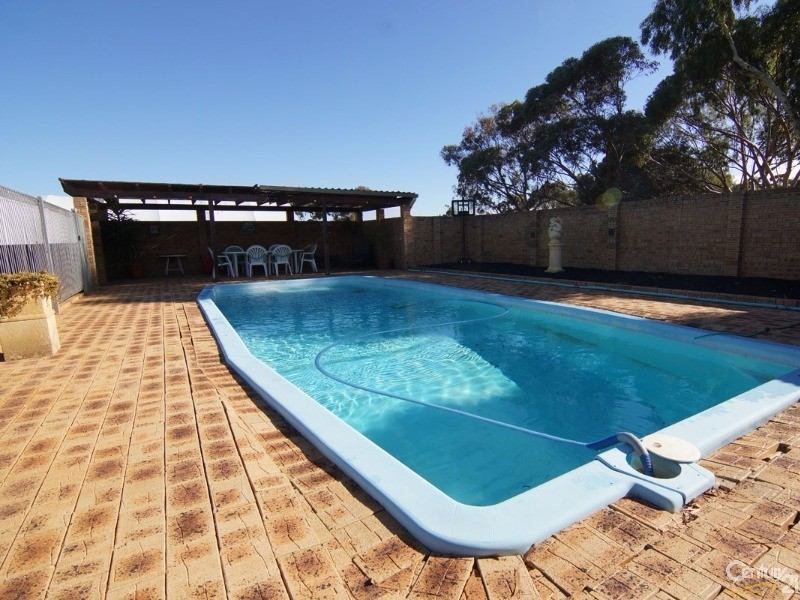 97 Khedive Street, Wagin WA 6315