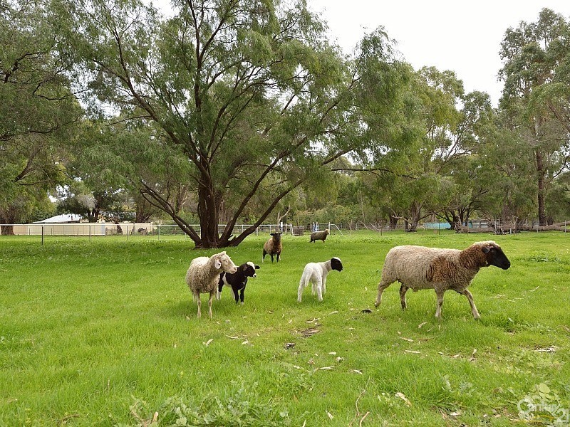 2706 Old Coast Road, Herron WA 6211