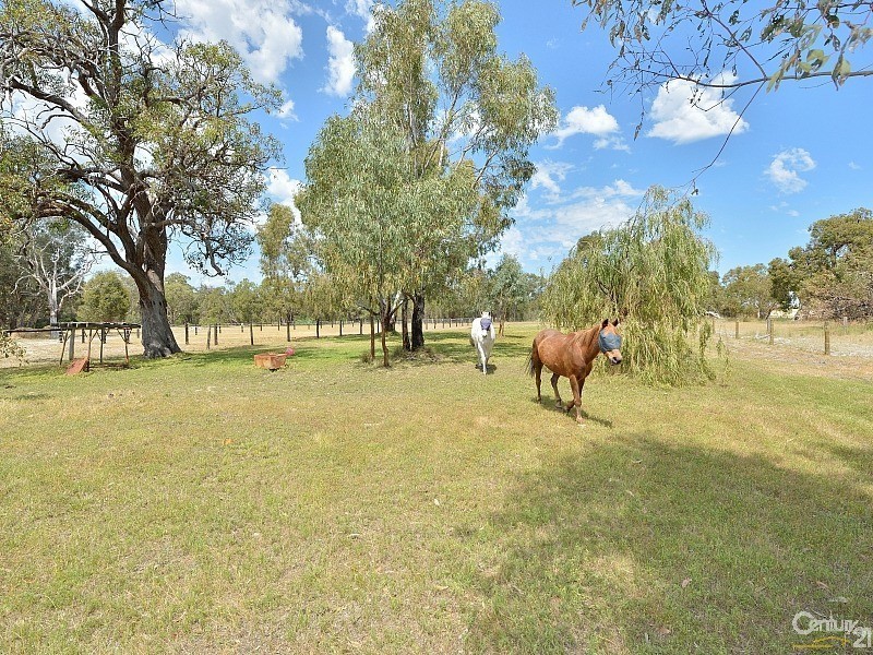 62 Matthie Road, Barragup WA 6209