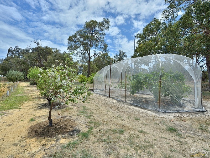 18 Peaceful Waters Drive, Barragup WA 6209