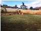 52 Glencoe Parade, Halls Head WA 6210