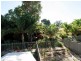 42 Coco Drive, Falcon WA 6210