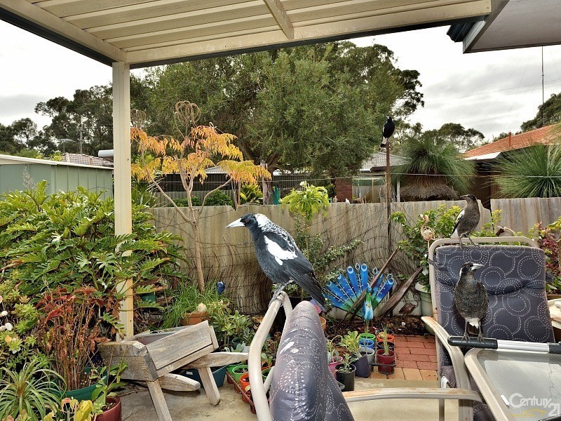 69B Cobblers Street, Falcon WA 6210