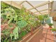 1 Albatross Close, Halls Head WA 6210