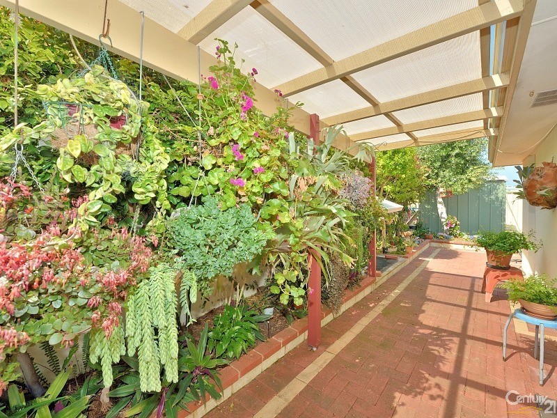 1 Albatross Close, Halls Head WA 6210