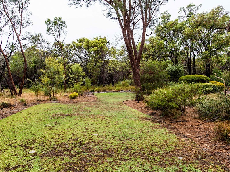 11 Fouracre Court, Stake Hill WA 6181
