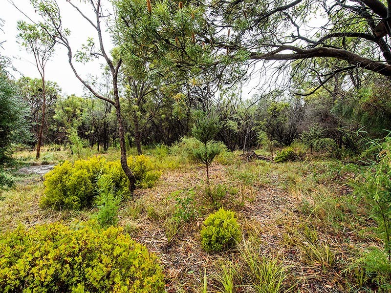 11 Fouracre Court, Stake Hill WA 6181