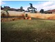 52 Glencoe Parade, Halls Head WA 6210
