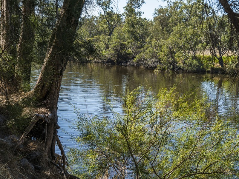 48 Murray Bend Drive, Ravenswood WA 6208