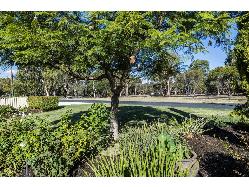 149 Culeenup Road, North Yunderup WA 6208