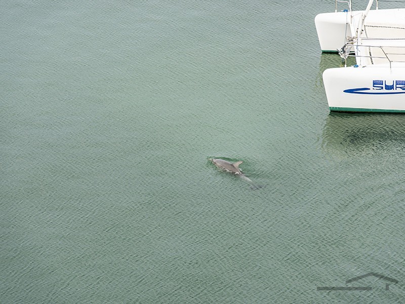 904/3 Marco Polo Drive, Mandurah WA 6210