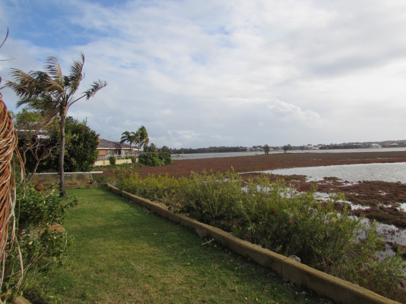 46 Blackwood Parade, Dudley Park WA 6210