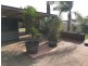 11 Columbia Close, Halls Head WA 6210