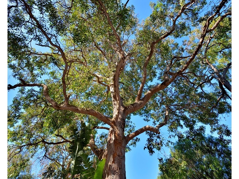 2 Crescent Drive, Bouvard WA 6211