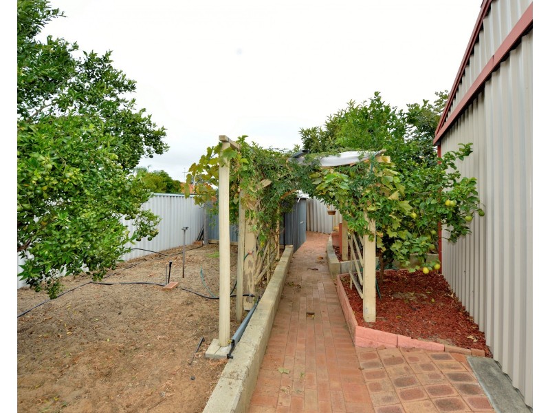 6 Matlock Place, Dudley Park WA 6210