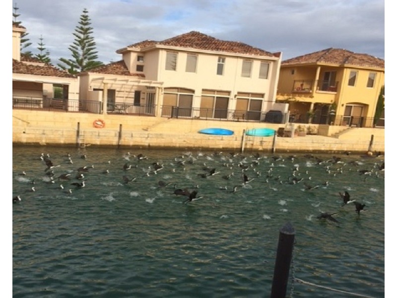 5 Port Quays, Wannanup WA 6210