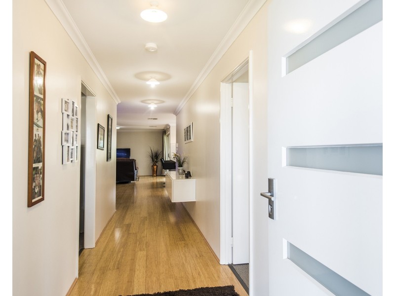 12 Aspera Elbow, Baldivis WA 6171