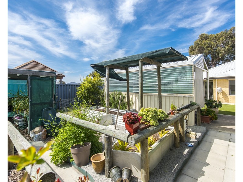 12 Aspera Elbow, Baldivis WA 6171