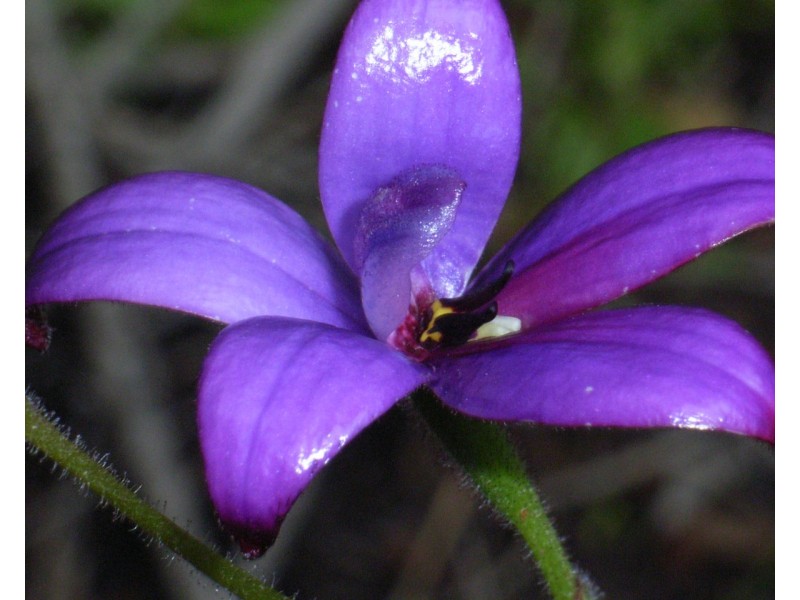 3 Powell Road, Barragup WA 6209