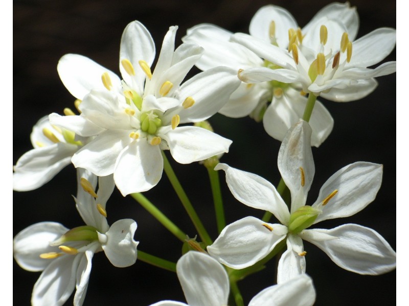 3 Powell Road, Barragup WA 6209