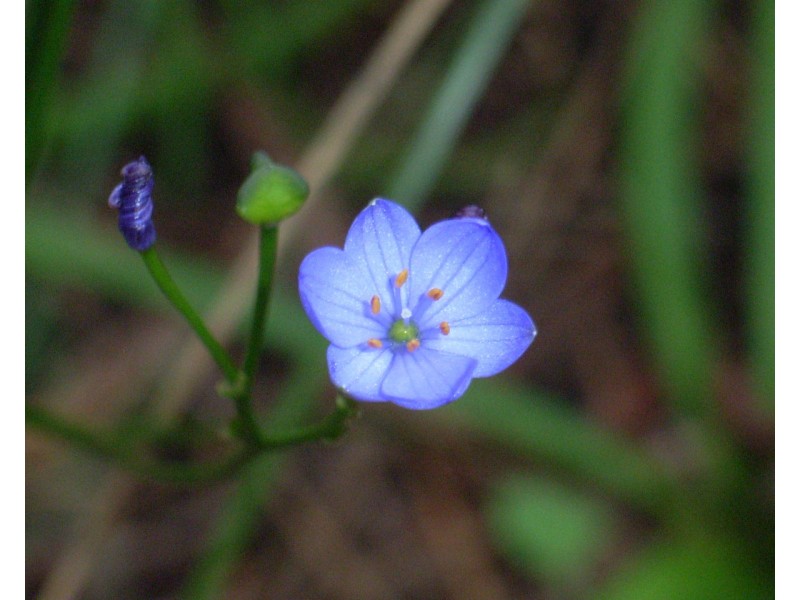 3 Powell Road, Barragup WA 6209