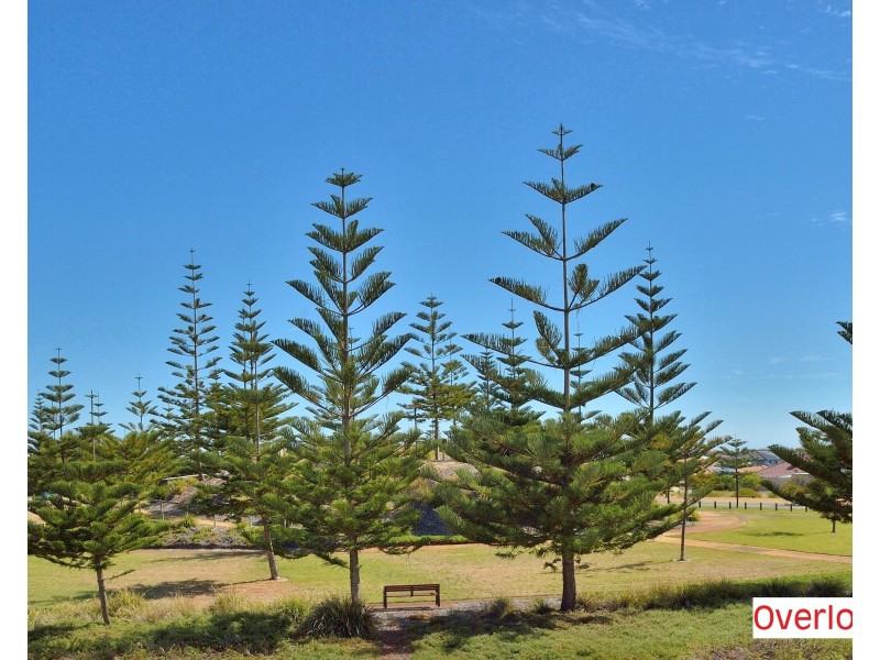 21 Frigate Way, Wannanup WA 6210
