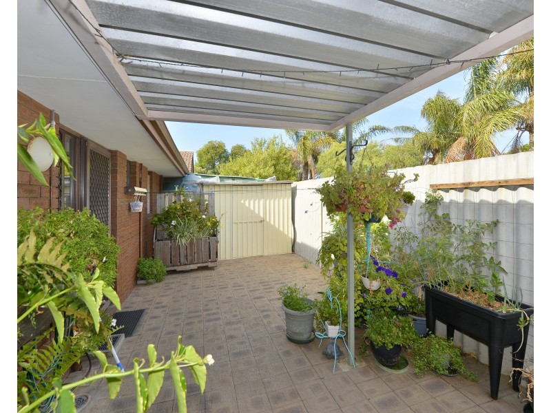 3/29 Creery Street, Dudley Park WA 6210